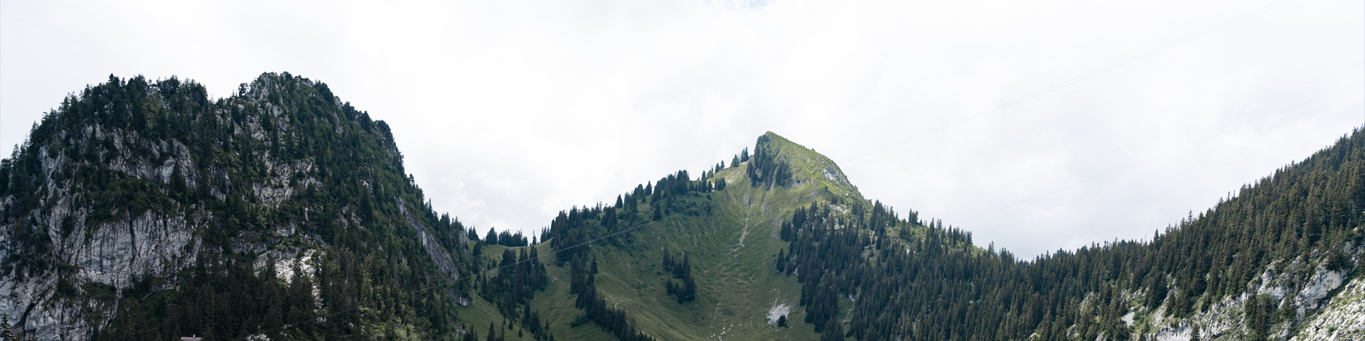 湖北盛都国际旅行社有限公司大桥路营业部
