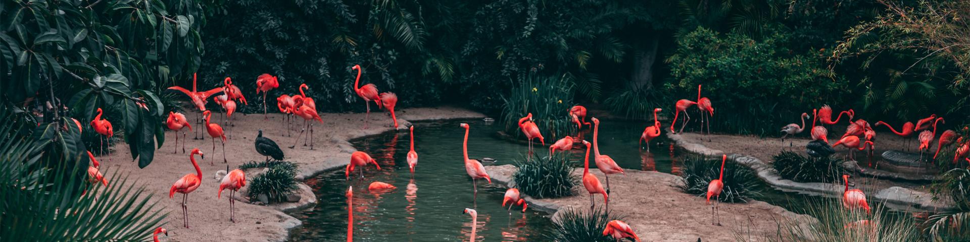 湖北盛都国际旅行社有限公司大桥路营业部